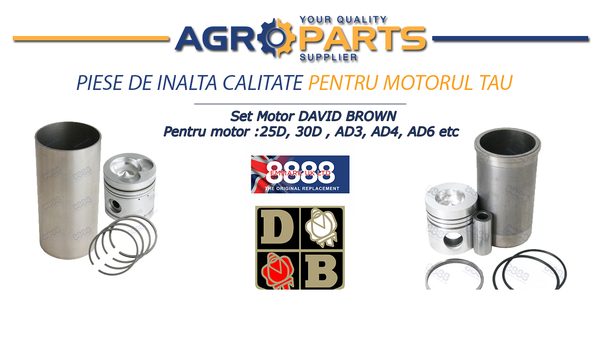 Kit pistoane David Brown